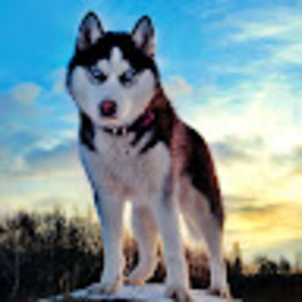 Meet your Posher, Caroline